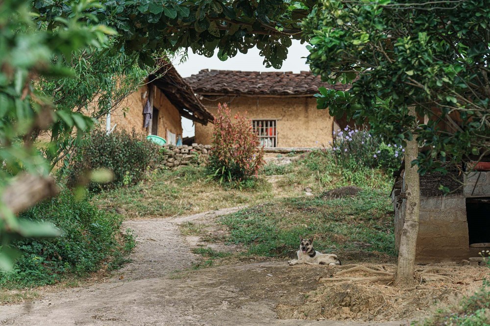 Bắc Hoa – vẻ đẹp nguyên sơ từ nếp nhà đất đến nhịp sống bản địa - Ảnh 14.