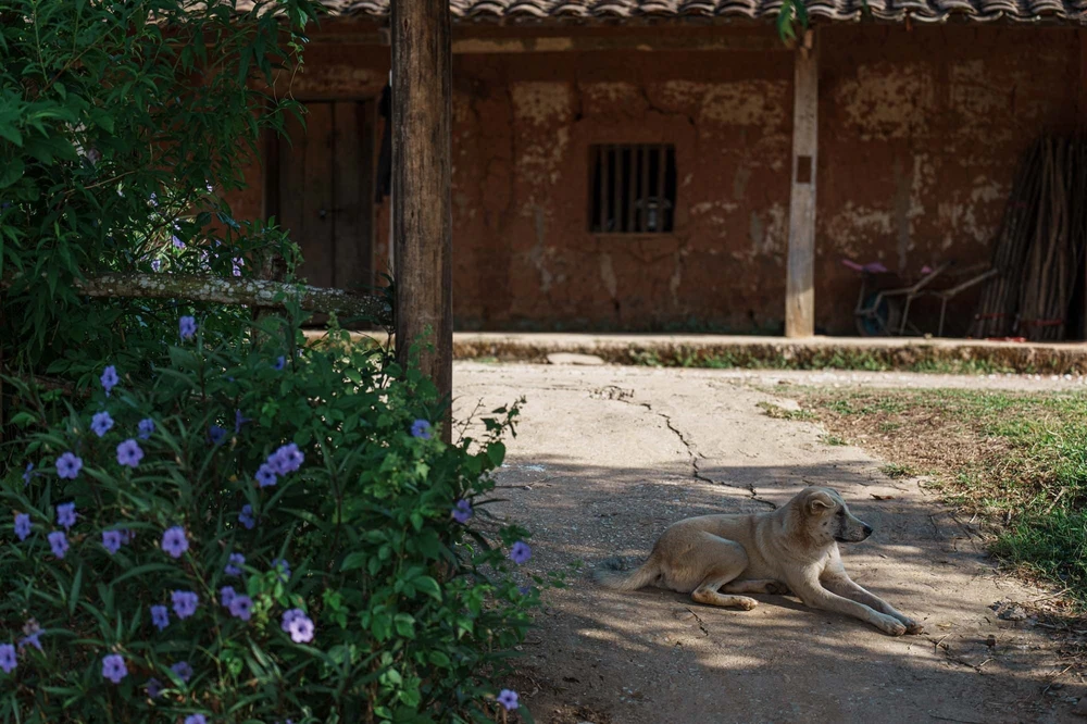 Bắc Hoa – vẻ đẹp nguyên sơ từ nếp nhà đất đến nhịp sống bản địa - Ảnh 13.