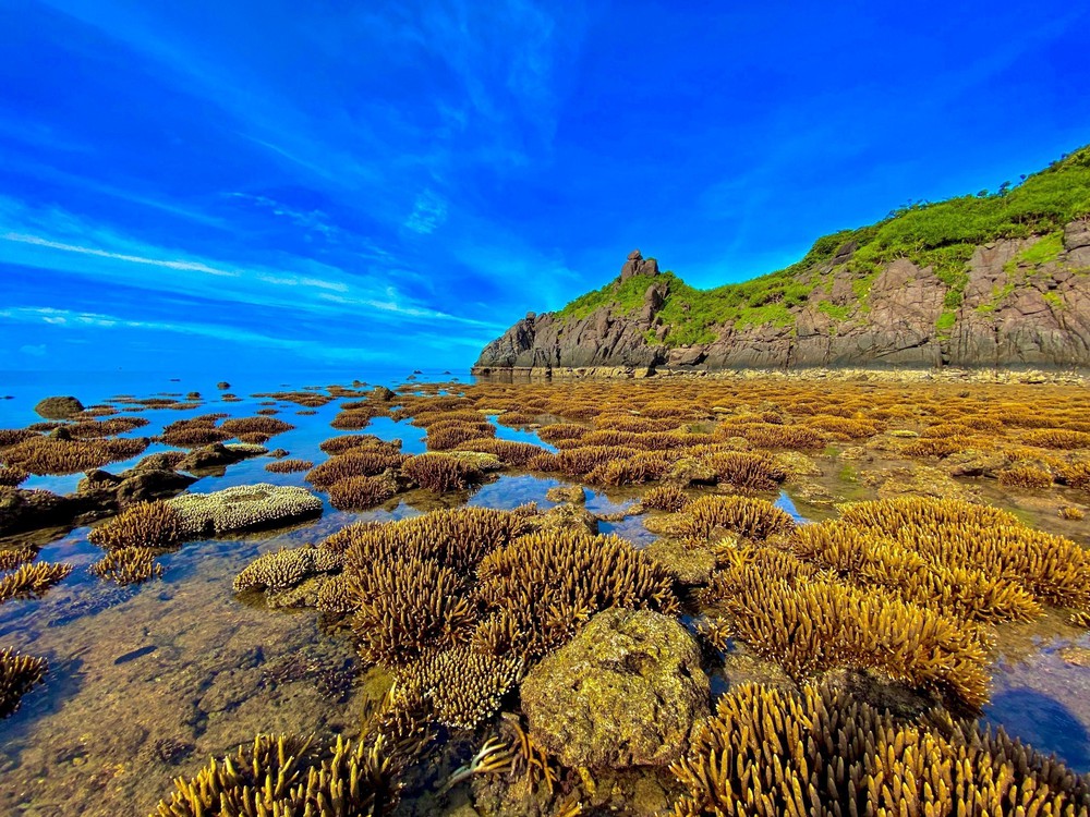 Du khách Việt có xu hướng du lịch xanh, trải nghiệm cá nhân hóa - Ảnh 1.