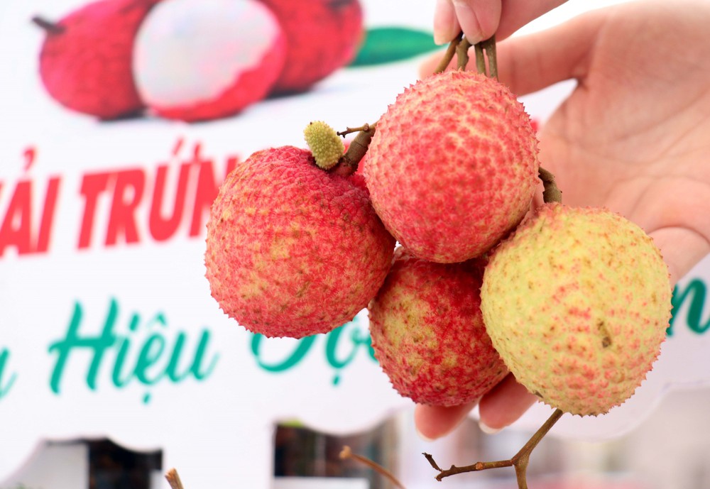 Liên hoan ẩm thực tỉnh Hưng Yên hội tụ hơn 100 món nổi tiếng - Ảnh 3.