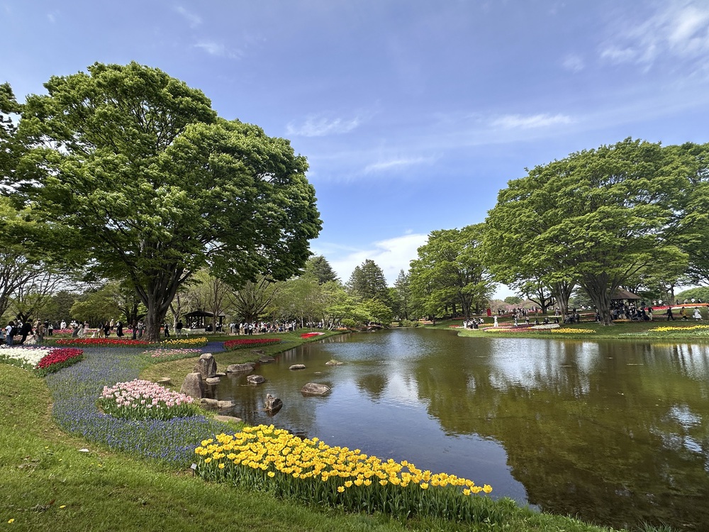 Sắc hoa rực rỡ nhuộm thắm mùa xuân tại Công viên Showa Kinen - Ảnh 6.