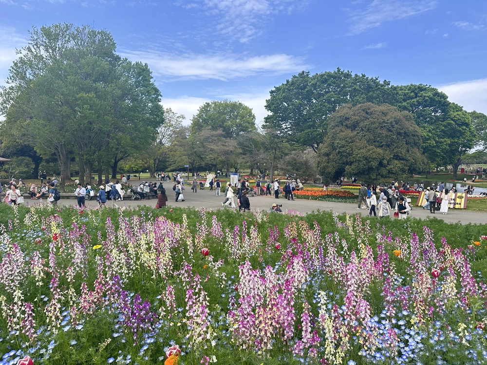 Sắc hoa rực rỡ nhuộm thắm mùa xuân tại Công viên Showa Kinen - Ảnh 9.