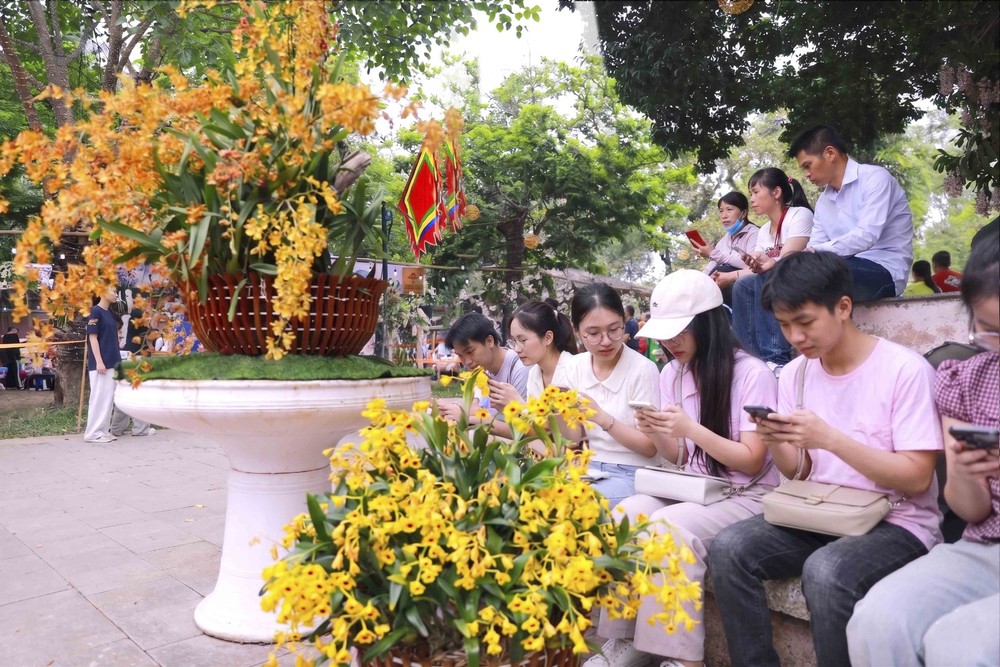 Muôn sắc lan hội tụ, níu chân du khách về Đền Hùng - Ảnh 6.