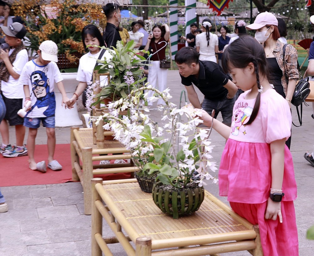 Muôn sắc lan hội tụ, níu chân du khách về Đền Hùng - Ảnh 7.