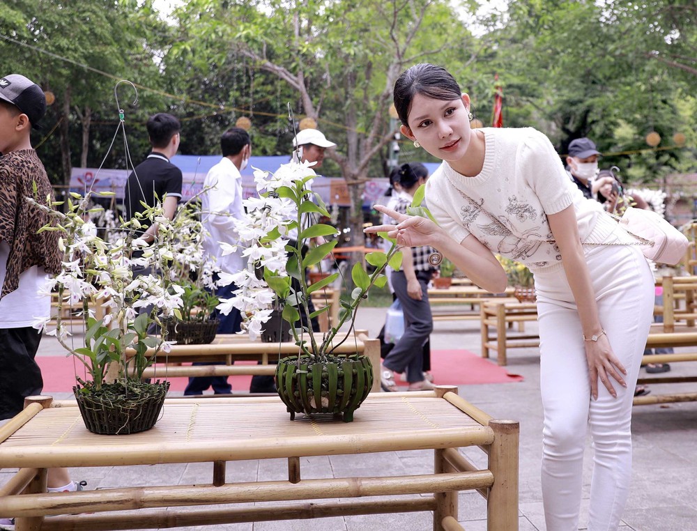Muôn sắc lan hội tụ, níu chân du khách về Đền Hùng - Ảnh 5.