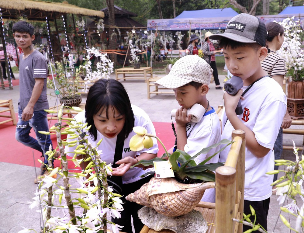 Muôn sắc lan hội tụ, níu chân du khách về Đền Hùng - Ảnh 4.