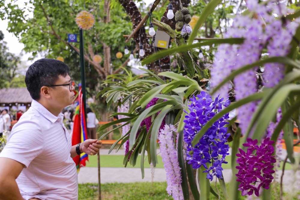 Muôn sắc lan hội tụ, níu chân du khách về Đền Hùng - Ảnh 3.