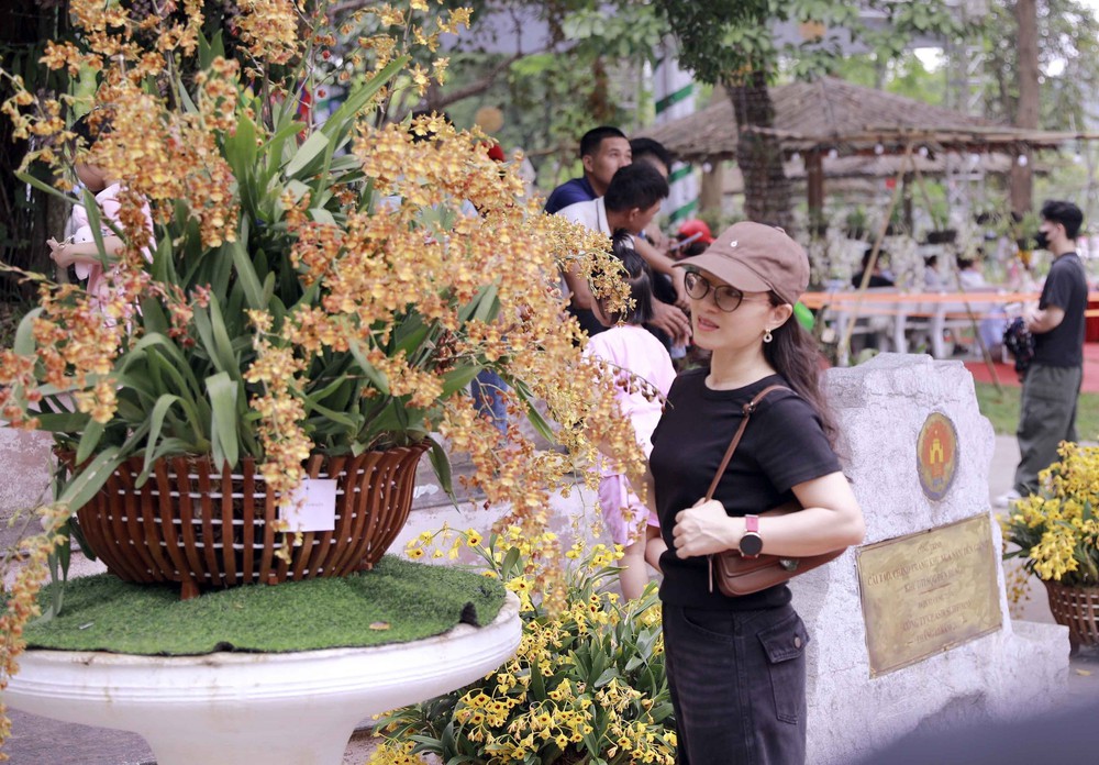 Muôn sắc lan hội tụ, níu chân du khách về Đền Hùng - Ảnh 2.