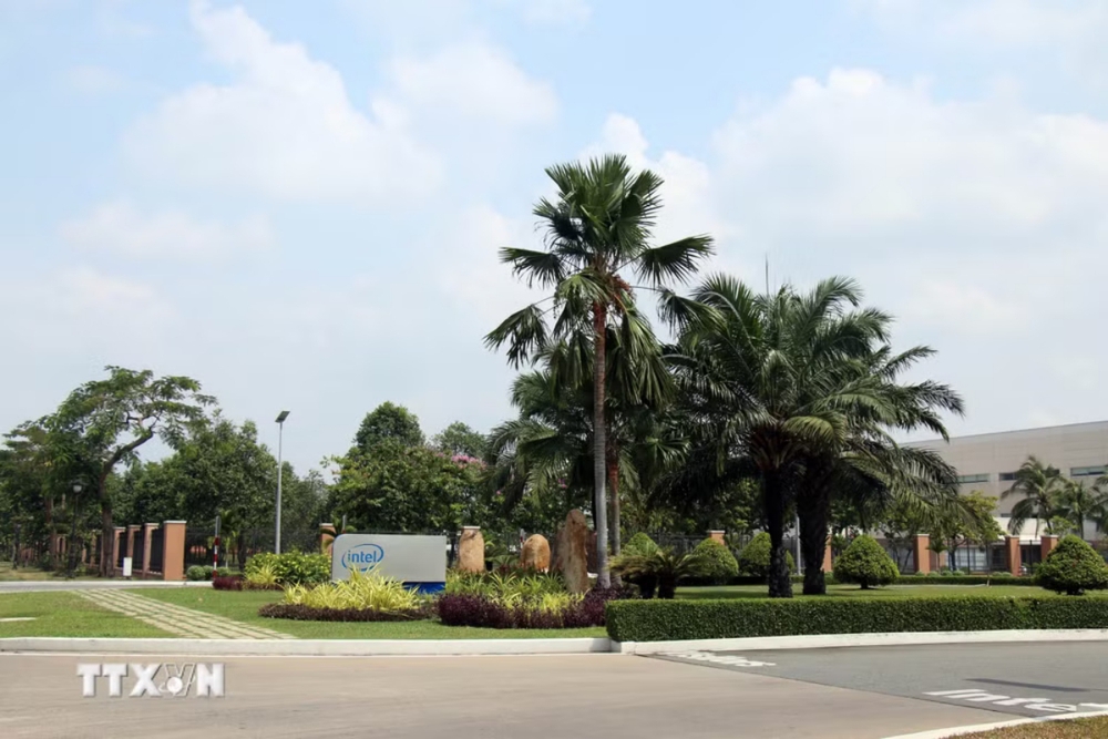 Thành phố Hồ Chí Minh - trung tâm khoa học công nghệ, đổi mới sáng tạo: Nền tảng vững chắc - Ảnh 3.