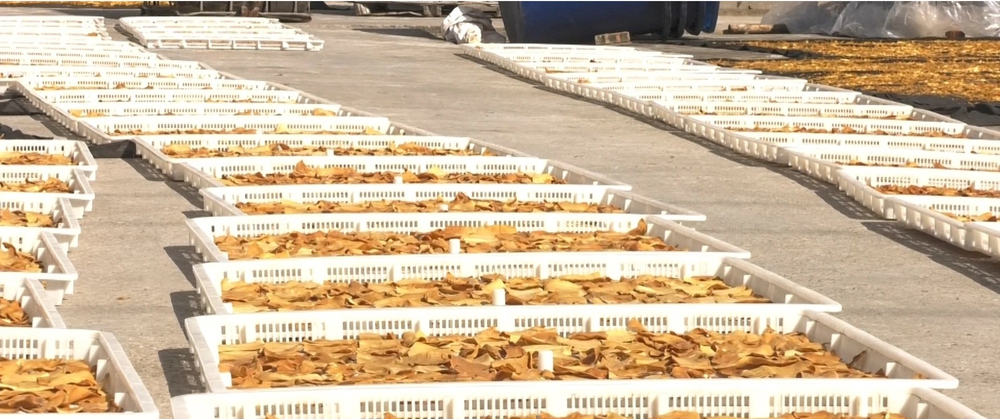 Giải bài toán thiếu điện mùa nắng nóng - Ảnh 4.