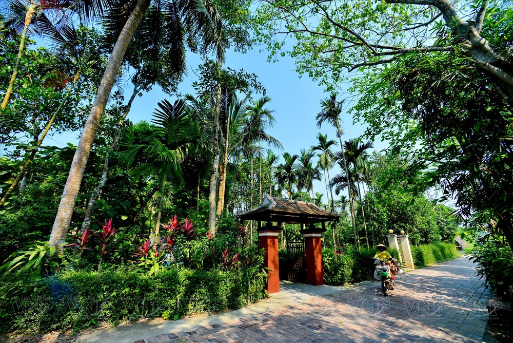 Cảnh sắc lãng mạn như tranh của làng cổ Phước Tích - Ảnh 1.