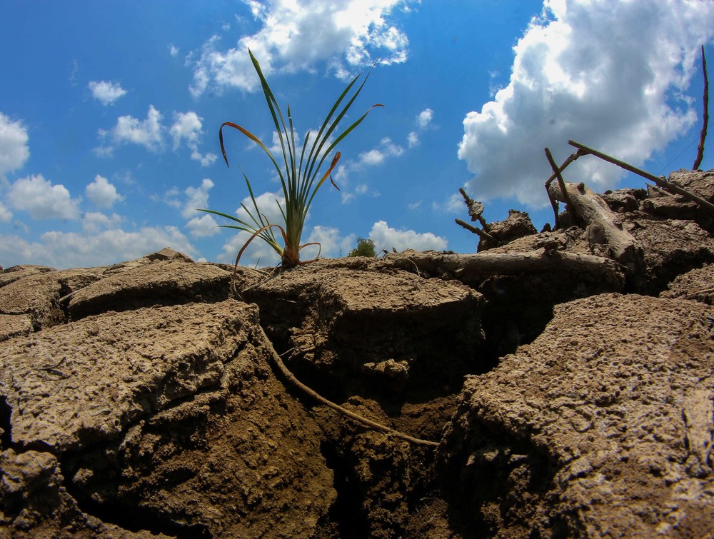 Nắng nóng gay gắt bao trùm TP. Hồ Chí Minh và Nam Bộ trong tháng 4 - Ảnh 1.