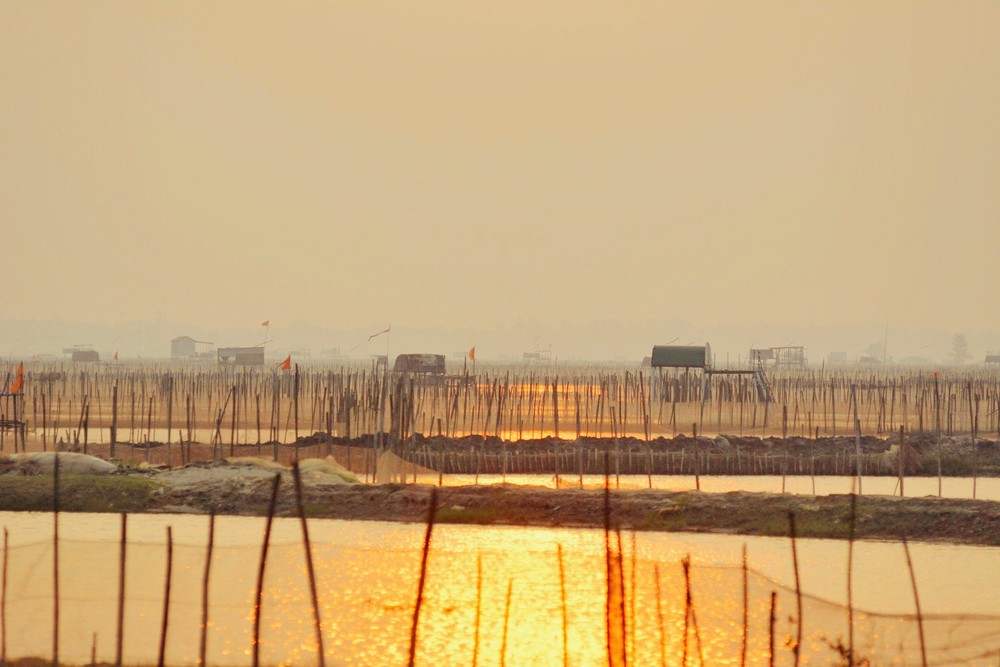 Ngắm bình minh trên phá Tam Giang (Huế) - Ảnh 7.