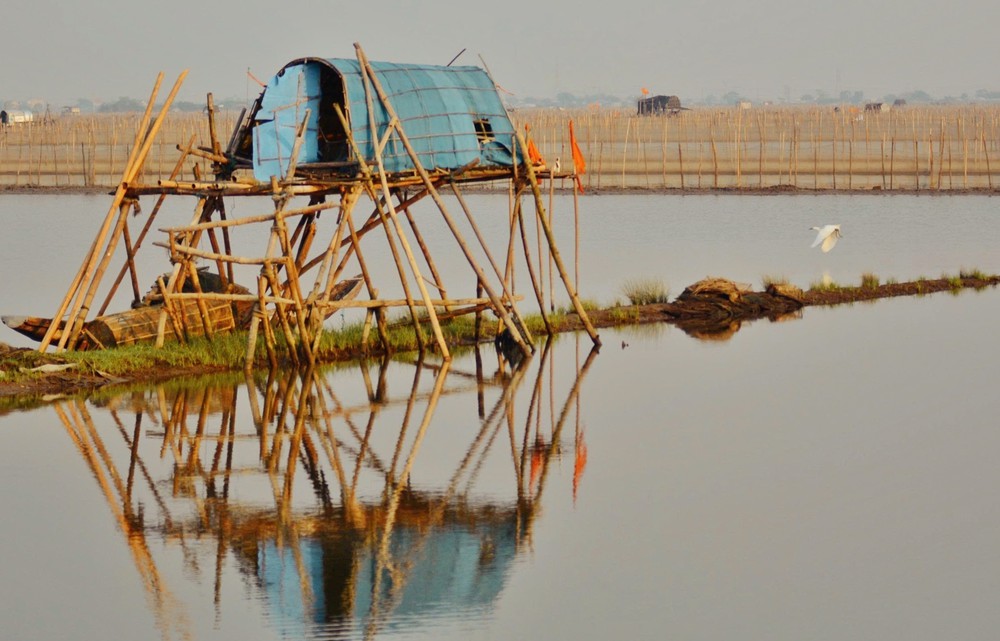 Ngắm bình minh trên phá Tam Giang (Huế) - Ảnh 3.