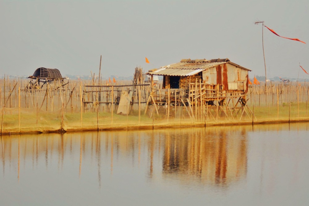 Ngắm bình minh trên phá Tam Giang (Huế) - Ảnh 2.