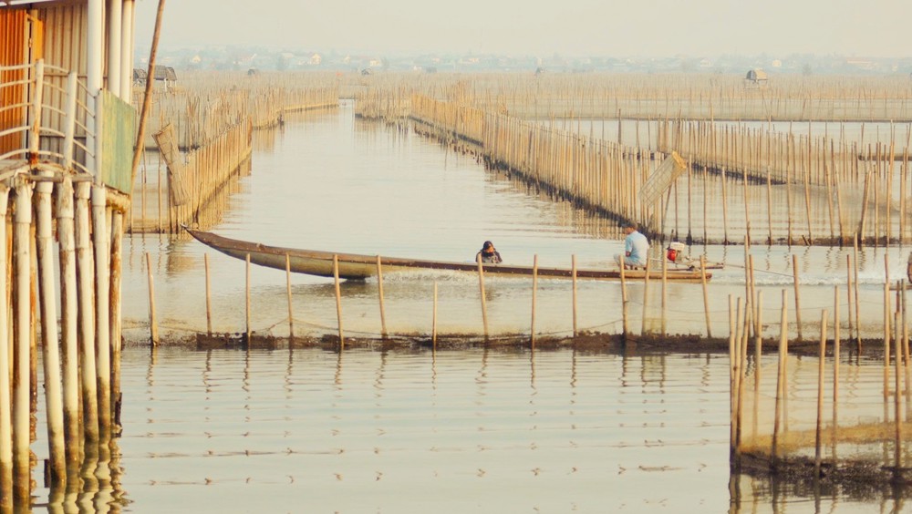 Ngắm bình minh trên phá Tam Giang (Huế) - Ảnh 6.