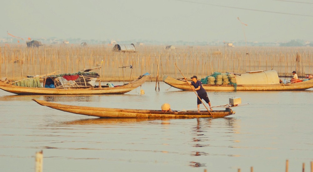 Ngắm bình minh trên phá Tam Giang (Huế) - Ảnh 5.
