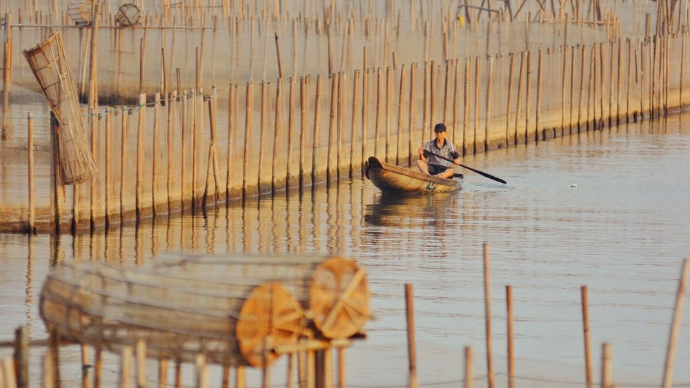 Ngắm bình minh trên phá Tam Giang (Huế) - Ảnh 4.
