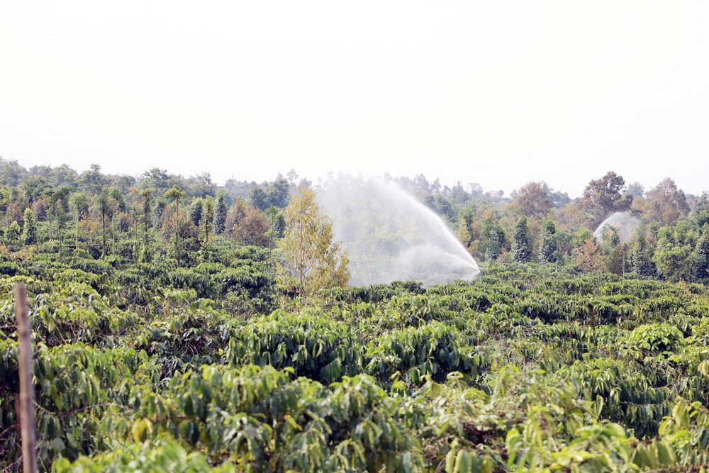 Nắng nóng gay gắt bao trùm TP. Hồ Chí Minh và Nam Bộ trong tháng 4 - Ảnh 2.