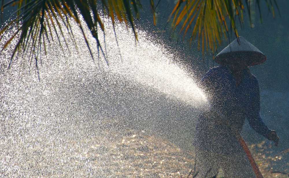 Cảnh báo sóng cao, ngư dân cần chủ động phòng tránh và có kế hoạch sản xuất phù hợp - Ảnh 2. Cảnh báo sóng cao, ngư dân cần chủ động phòng tránh và có kế hoạch sản xuất phù hợp - Ảnh 2.