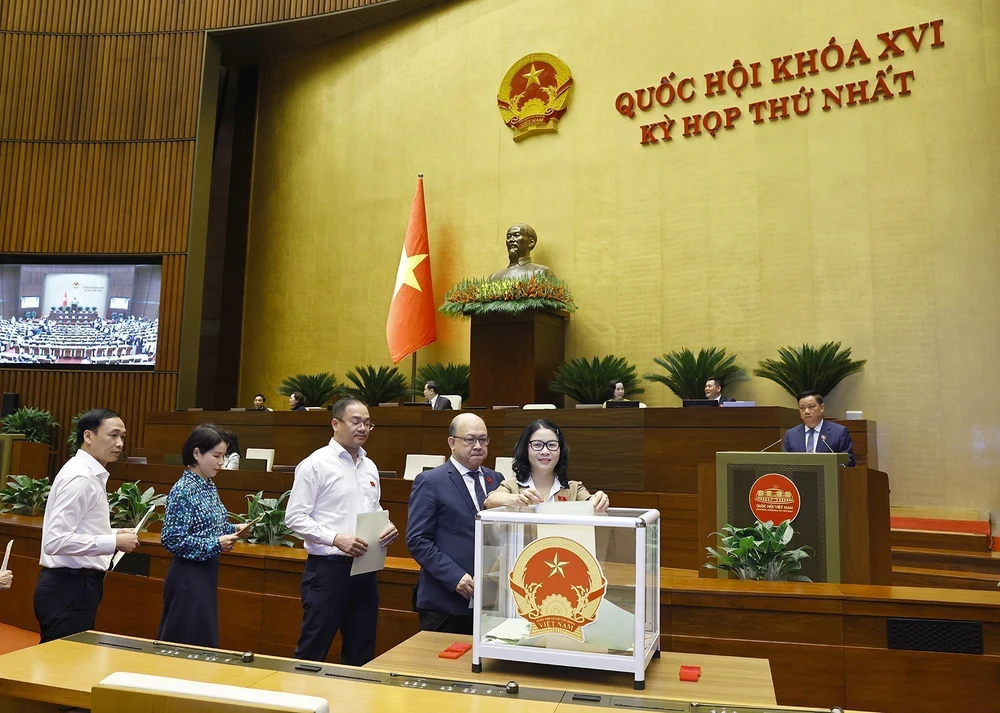 Kỳ họp thứ Nhất, Quốc hội khoá XVI: Quốc hội tiếp tục thực hiện công tác nhân sự - Ảnh 6. Kỳ họp thứ Nhất, Quốc hội khoá XVI: Quốc hội tiếp tục thực hiện công tác nhân sự - Ảnh 6.