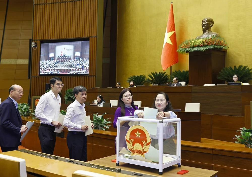 Kỳ họp thứ Nhất, Quốc hội khoá XVI: Quốc hội tiếp tục thực hiện công tác nhân sự - Ảnh 5. Kỳ họp thứ Nhất, Quốc hội khoá XVI: Quốc hội tiếp tục thực hiện công tác nhân sự - Ảnh 5.