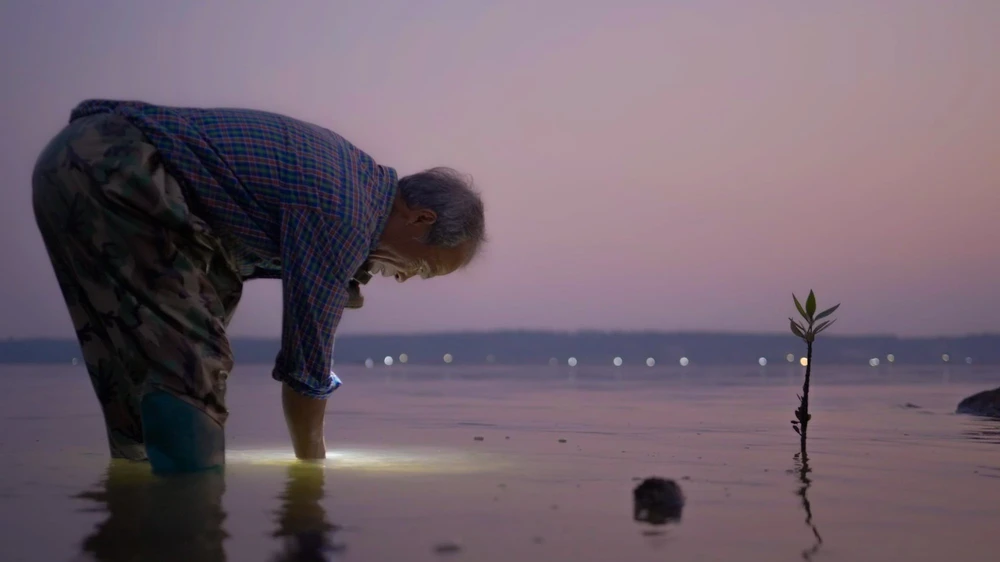 "Voices for Tomorrow": Kể chuyện phát triển bền vững bằng phim tài liệu - Ảnh 1. "Voices for Tomorrow": Kể chuyện phát triển bền vững bằng phim tài liệu - Ảnh 1.