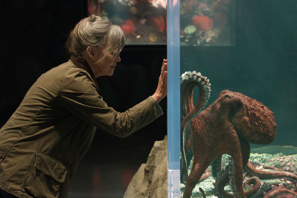 10 bộ phim đáng xem trong tháng 5: Từ "Star Wars" đến "The Devil Wears Prada 2" - Ảnh 6.