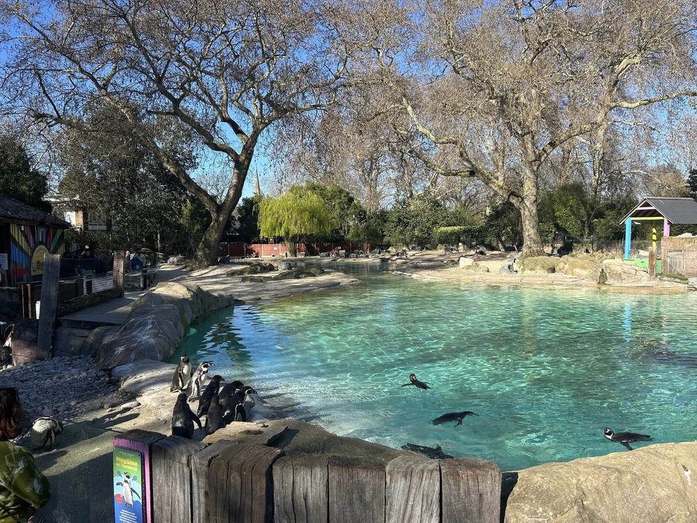 Tham quan London Zoo, vườn thú khoa học lâu đời nhất thế giới - Ảnh 1.