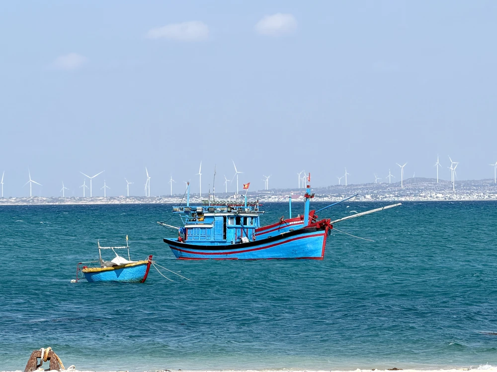 Hòn Cau - “viên ngọc xanh” hút khách giữa biển khơi Lâm Đồng - Ảnh 6.