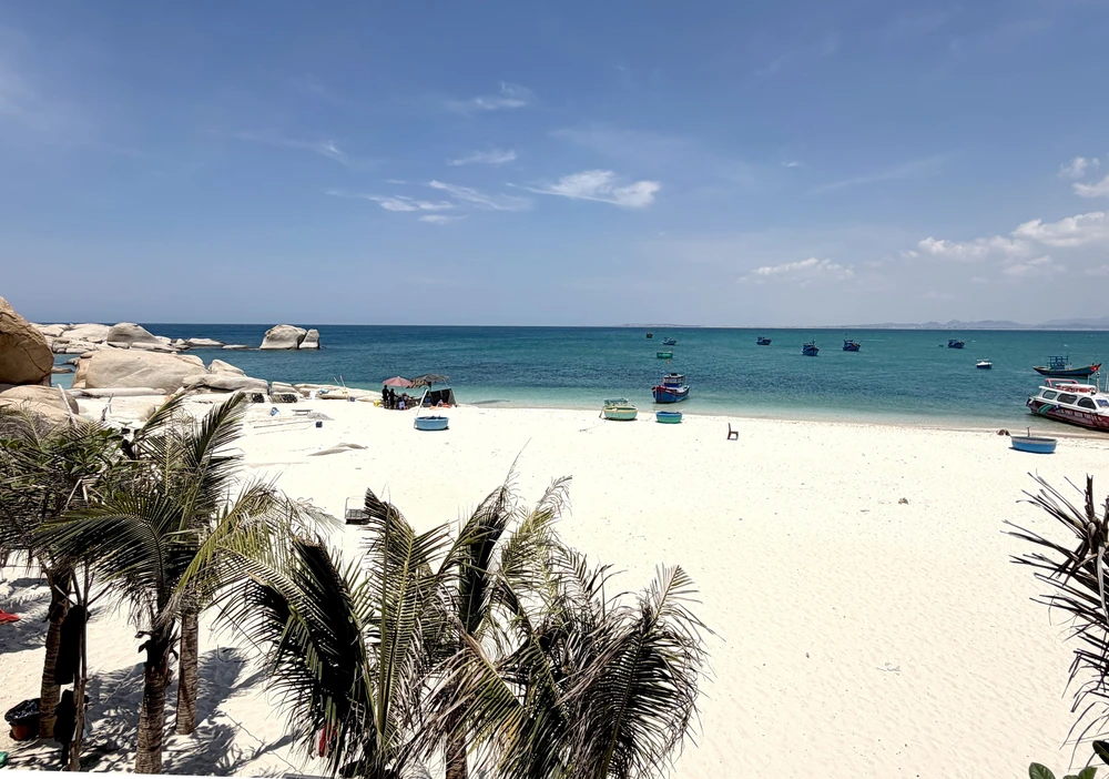 Hòn Cau - “viên ngọc xanh” hút khách giữa biển khơi Lâm Đồng - Ảnh 3.