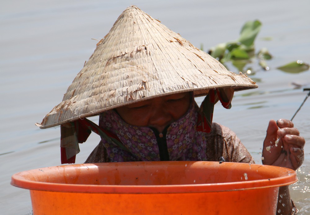 Bắt hến trên kênh xáng Xà No, sinh kế dân dã giữa lòng miền Tây - Ảnh 7. Bắt hến trên kênh xáng Xà No, sinh kế dân dã giữa lòng miền Tây - Ảnh 7.