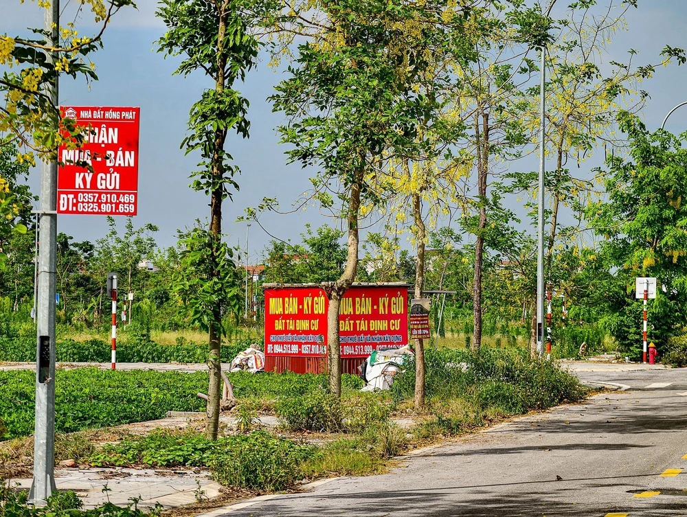 Hà Nội sẽ kiểm tra hoạt động môi giới tại khu tái định cư cầu vượt sông Hồng - Ảnh 3.
