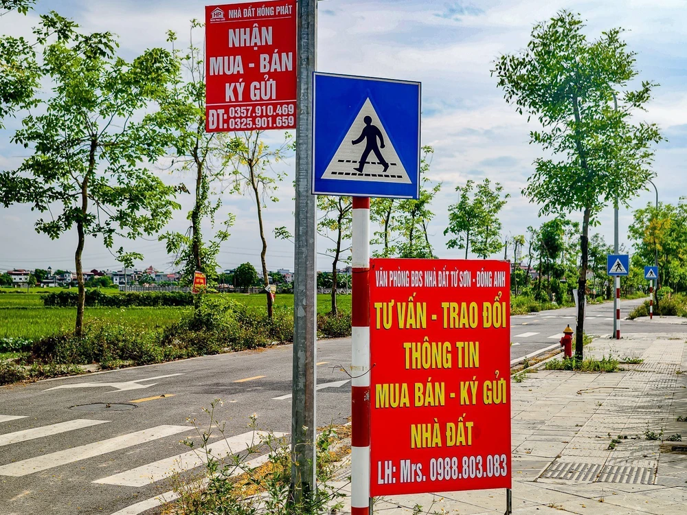 Hà Nội sẽ kiểm tra hoạt động môi giới tại khu tái định cư cầu vượt sông Hồng - Ảnh 2.