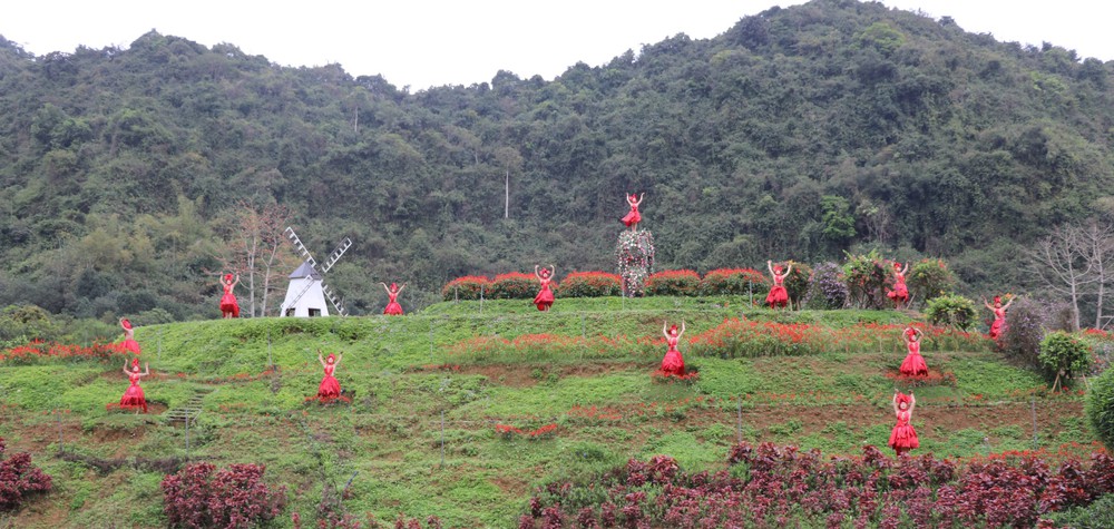 Những "mùa hoa di sản" trên đất cố đô - Ảnh 2.