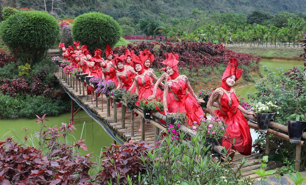 Những "mùa hoa di sản" trên đất cố đô - Ảnh 3.
