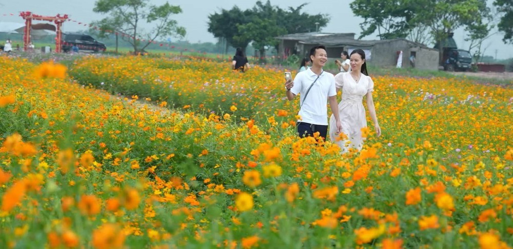 Những "mùa hoa di sản" trên đất cố đô - Ảnh 5.