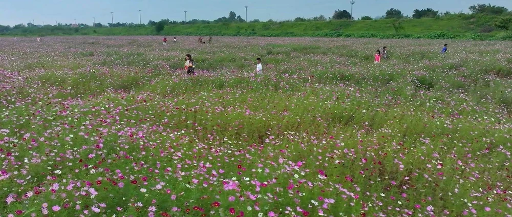 Tuần du lịch Ninh Bình 2026: Kỳ vọng bứt phá từ "Hành trình di sản" - Ảnh 4.