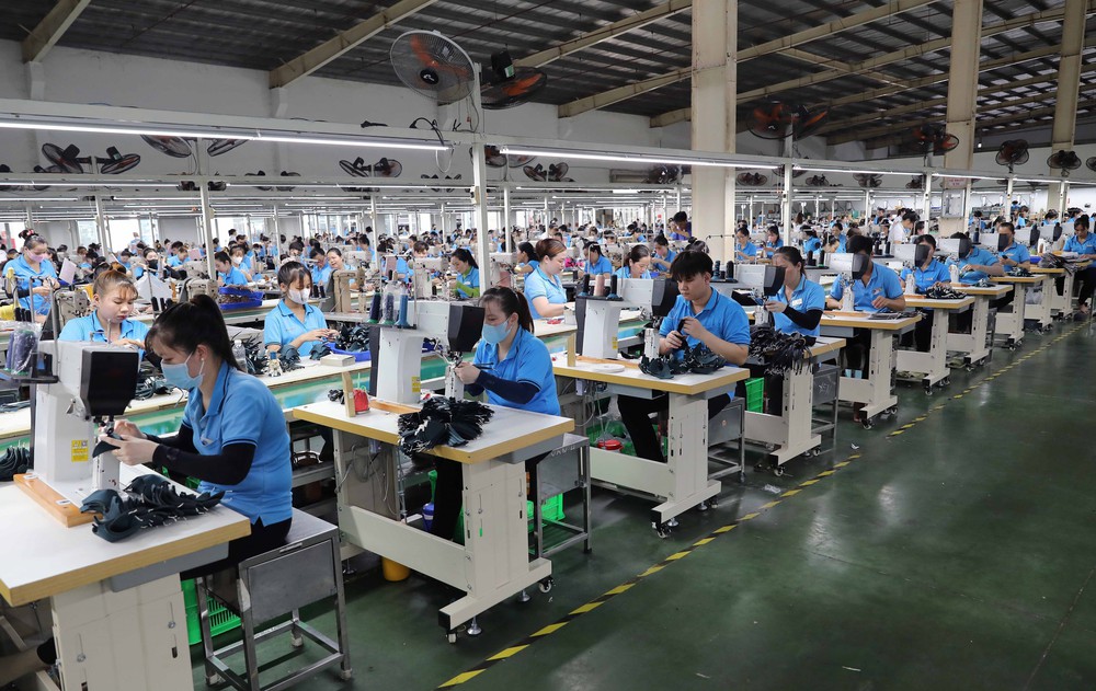 Đưa khoa học cơ bản trở thành cơ sở hình thành công nghệ lõi - Ảnh 4. Đưa khoa học cơ bản trở thành cơ sở hình thành công nghệ lõi - Ảnh 4.