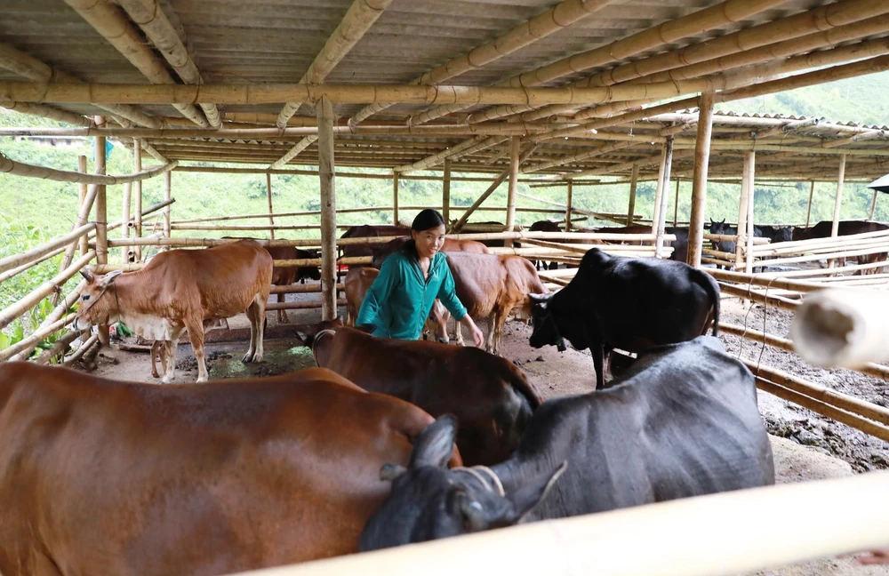 80 năm công tác dân tộc: Hành trình kiến tạo niềm tin và khơi dậy sức mạnh nội sinh - Ảnh 5.