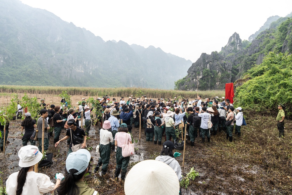 Hà Anh Tuấn và dàn nghệ sĩ “Forestival 2026” lội bùn, gieo mầm xanh giữa đầm Vân Long - Ảnh 4. Hà Anh Tuấn và dàn nghệ sĩ “Forestival 2026” lội bùn, gieo mầm xanh giữa đầm Vân Long - Ảnh 4.
