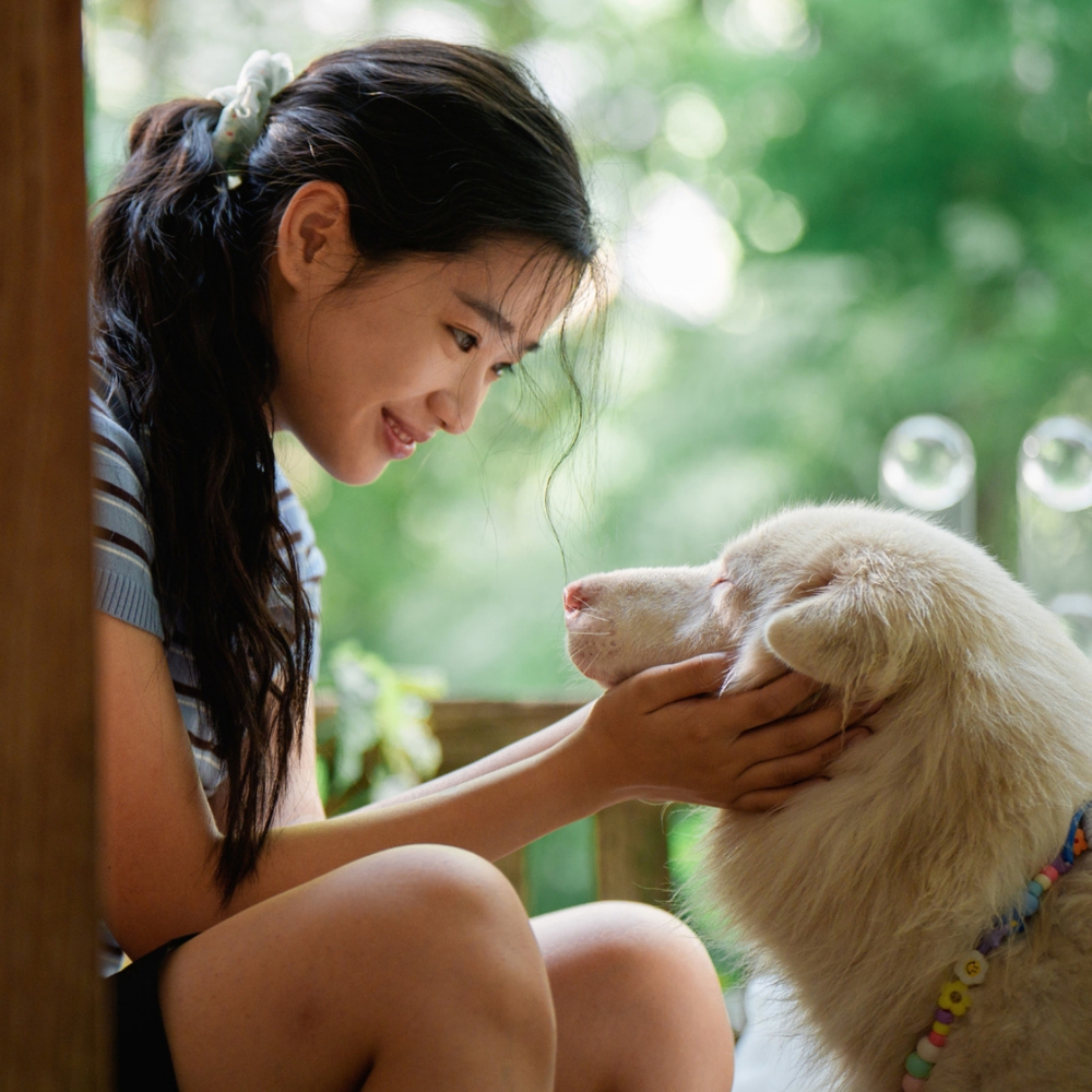 Điện ảnh Thái Lan đồng loạt khuấy đảo phòng vé Việt Nam - Ảnh 4. Điện ảnh Thái Lan đồng loạt khuấy đảo phòng vé Việt Nam - Ảnh 4.