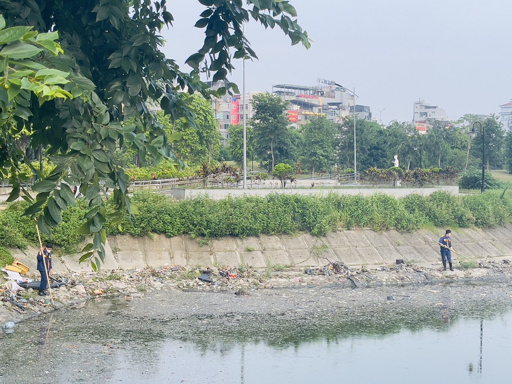 Hà Nội: Cá chết hàng loạt tại hồ CV1, công nhân xuyên đêm thu gom xử lý - Ảnh 1. Hà Nội: Cá chết hàng loạt tại hồ CV1, công nhân xuyên đêm thu gom xử lý - Ảnh 1.