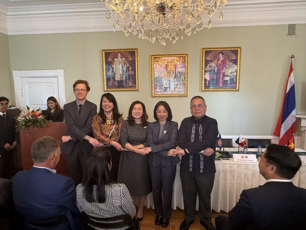 Việt Nam tiếp nhận cương vị Chủ tịch Ủy ban ASEAN tại Copenhagen - Ảnh 3.