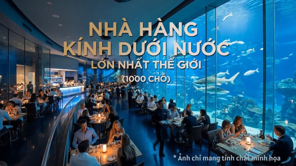 "Trái tim đại dương" lớn nhất thế giới sắp đập tại Vịnh di sản: "thỏi nam châm" hút khách quanh năm của Hạ Long - Ảnh 4.
