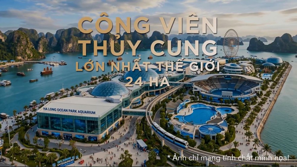 "Trái tim đại dương" lớn nhất thế giới sắp đập tại Vịnh di sản: "thỏi nam châm" hút khách quanh năm của Hạ Long - Ảnh 5.