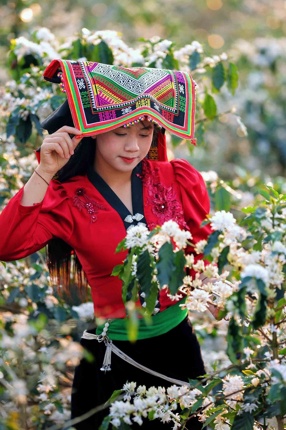 Hoa cà phê nở rộ tạo khung cảnh nên thơ, lãng mạn khắp triền đồi Sơn La - Ảnh 12.