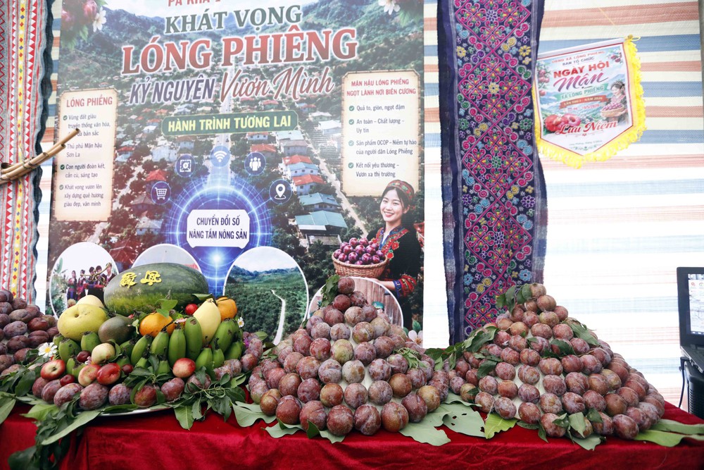 Sơn La: Ngày hội mận xã Lóng Phiêng lần thứ I, năm 2026 - Ảnh 6.