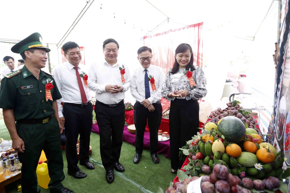 Sơn La: Ngày hội mận xã Lóng Phiêng lần thứ I, năm 2026 - Ảnh 4.