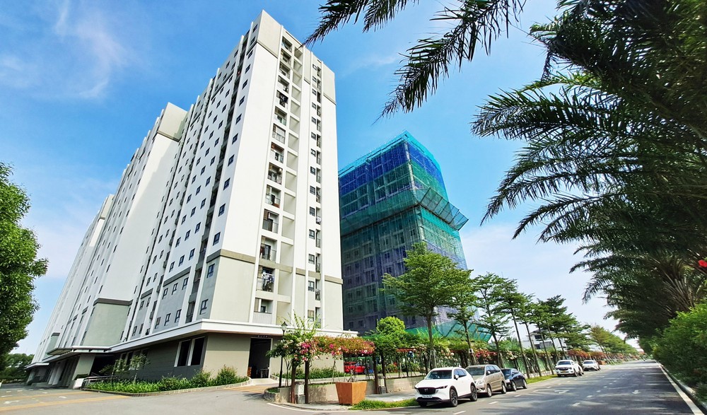 Phát triển nhà ở cho thuê - từ giải pháp trước mắt đến trụ cột an sinh dài hạn - Ảnh 1. Phát triển nhà ở cho thuê - từ giải pháp trước mắt đến trụ cột an sinh dài hạn - Ảnh 1.
